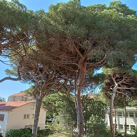 Au Calme, Climatise, Avec Parking, 2 Pas Des Plages, Le Port