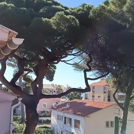 Au Calme, Climatise, Avec Parking, 2 Pas Des Plages, Le Port